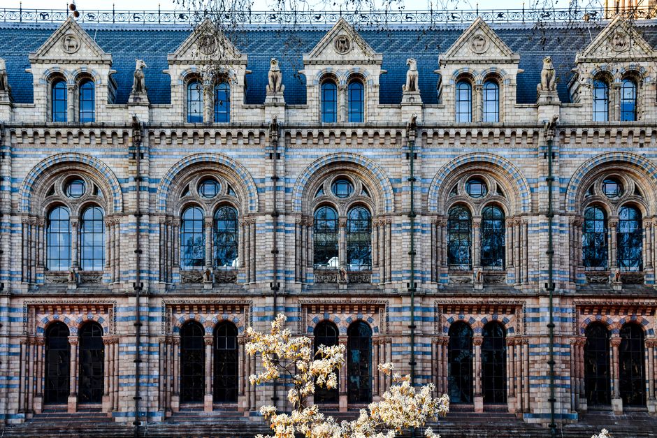 A detailed view of the ornate facade of the historic British Museum building, featuring intricate stone carvings, arched windows with black-framed glass panes, statues positioned along the roofline, a